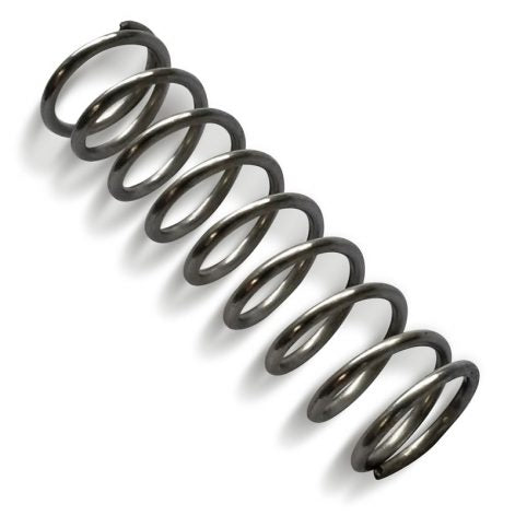 TriTech Spray Gun Filter Spring